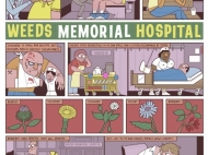 Weeds Memorial Hospital, Cartoon 
